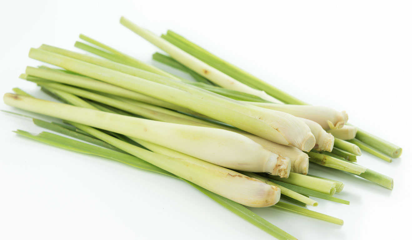 Lemongrass