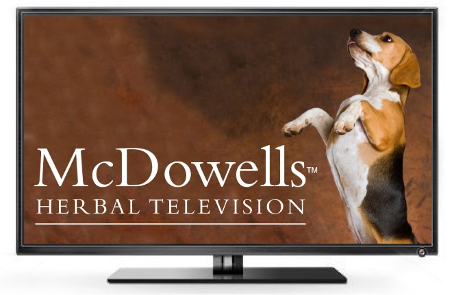 Mcdowellstvcanine