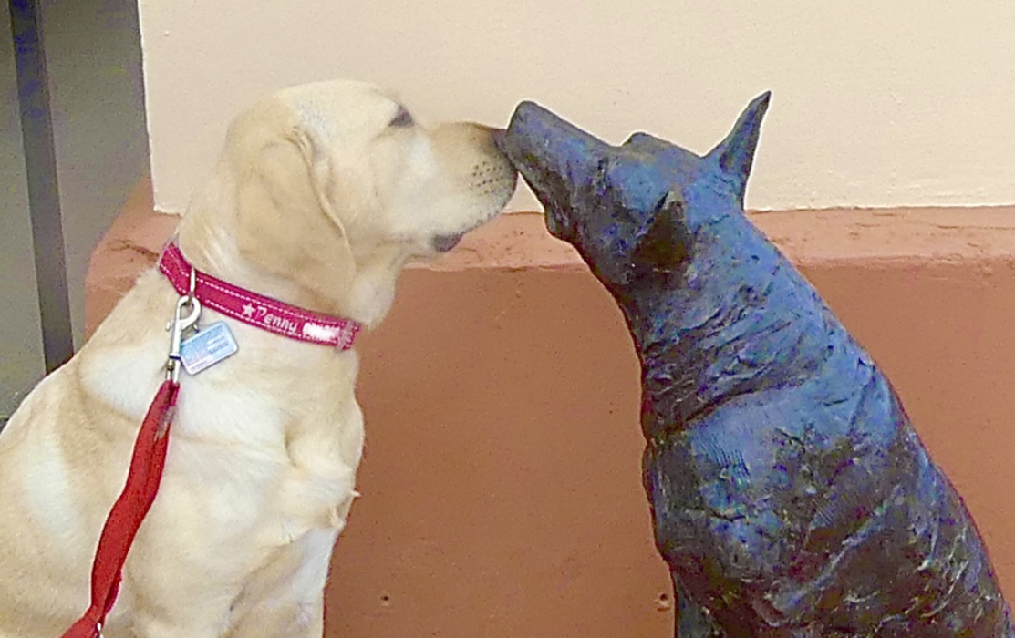 Labrador Ss Labrador, Penny, is helped with epilepsy - McDowell's Herbal Treatments