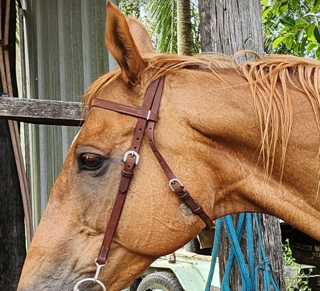 Sarcoid treatment was well worth the effort! McDowell's Herbal Treatments