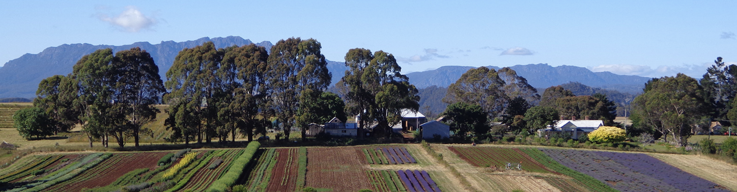 TasmaniaFarm