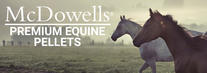 banner equine pellets