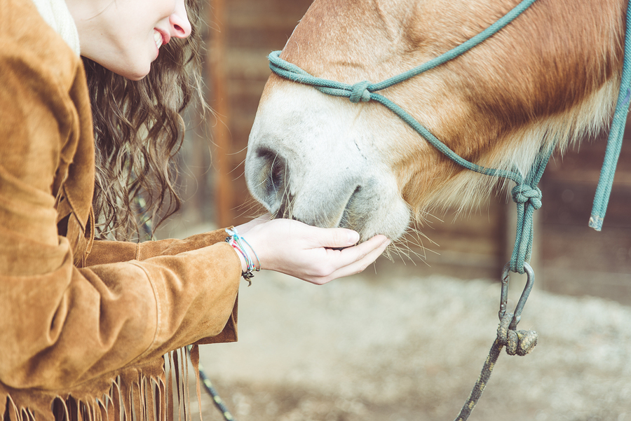 Woman-Petting-Her-Horse-Close.jpg