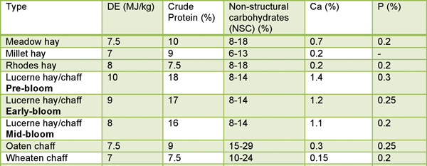 roughage-table.jpg