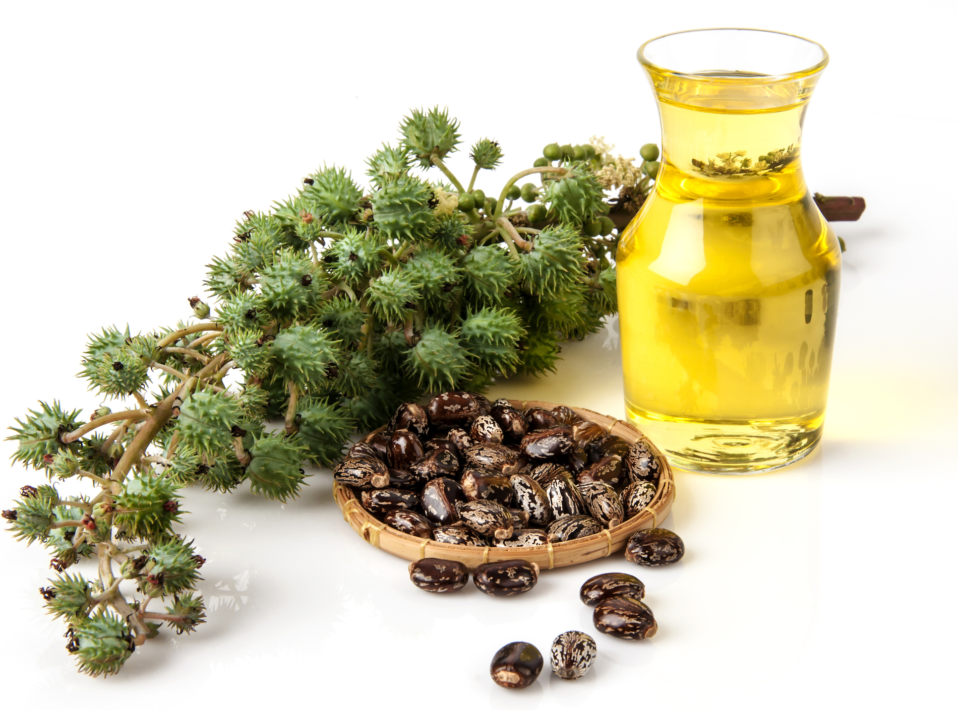 Castor oil with castor fruits, seeds and leaf.