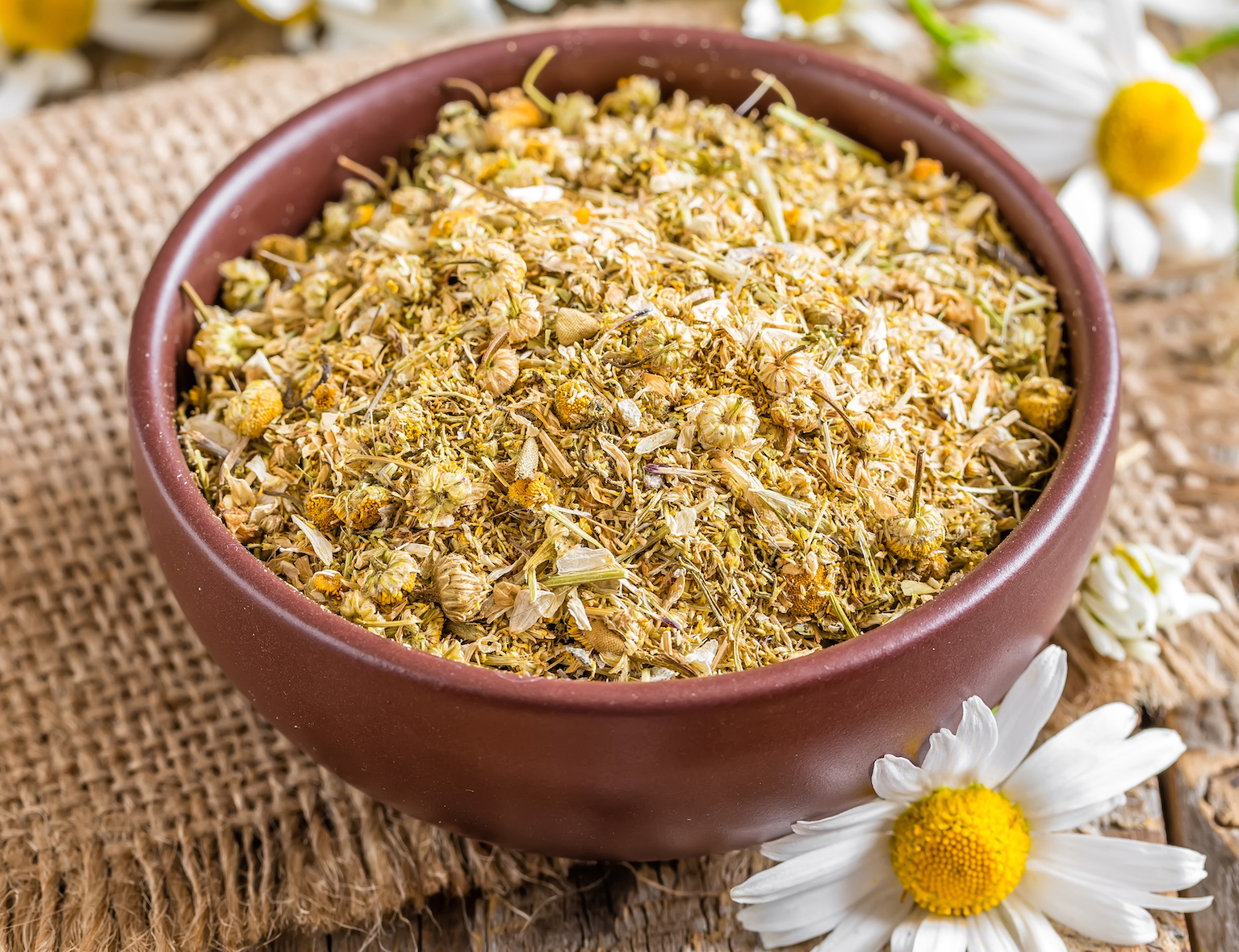 Chamomile Flowers McDowell s Herbal Treatments