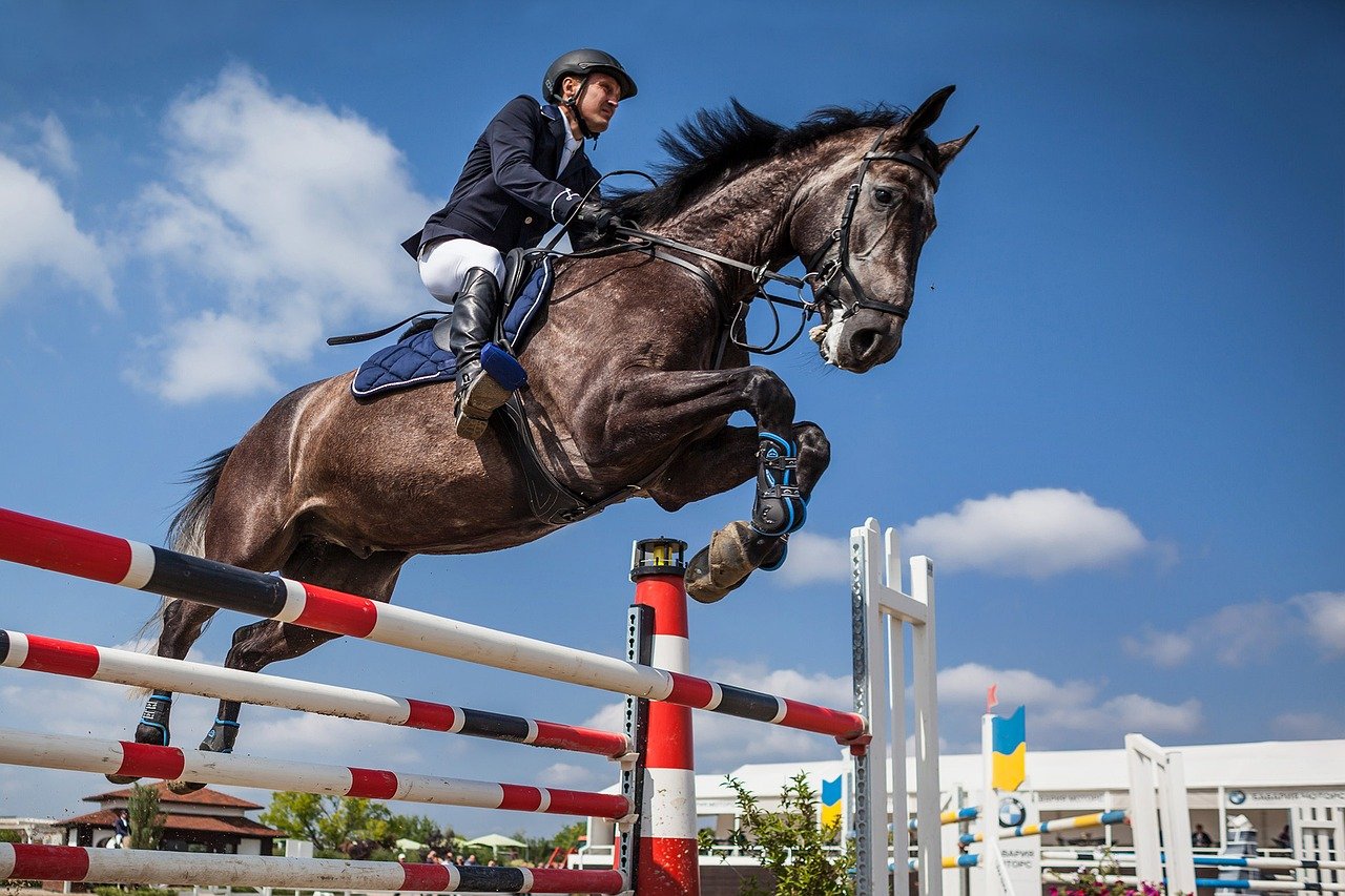 stock horse competing pixabay