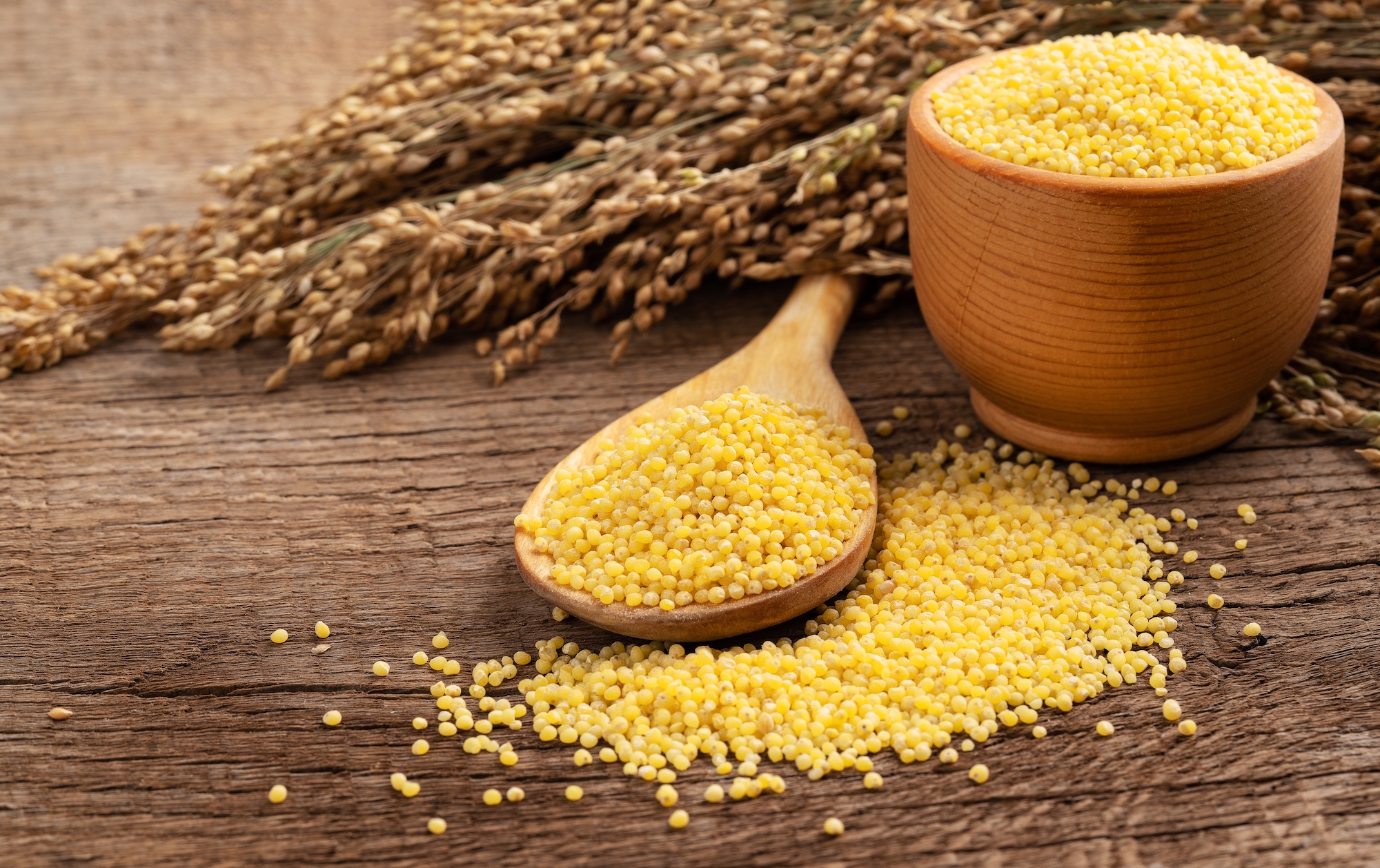 Home Remedies French White Millet McDowell s Herbal Treatments