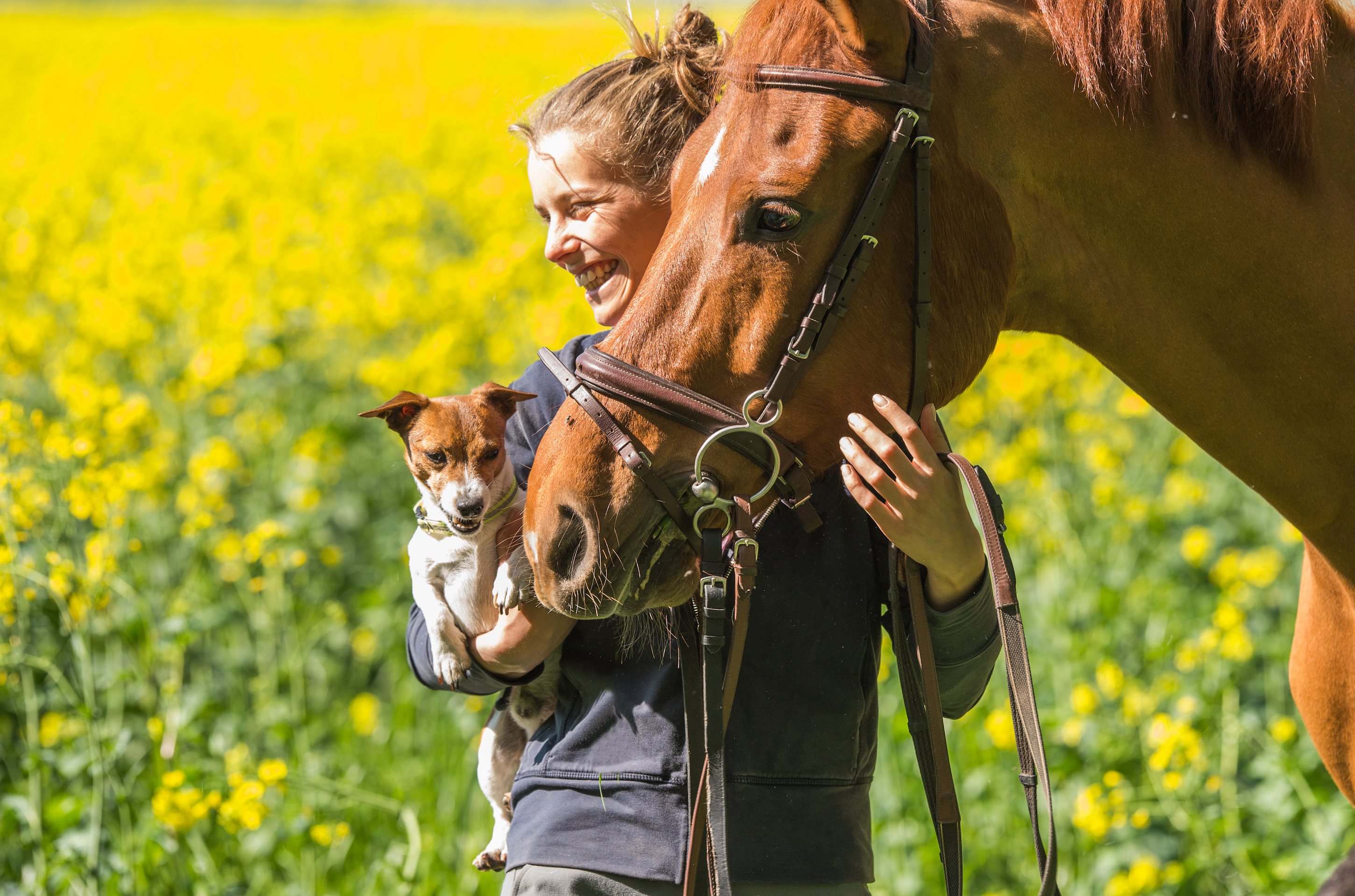 stock woman horse dog SMLL