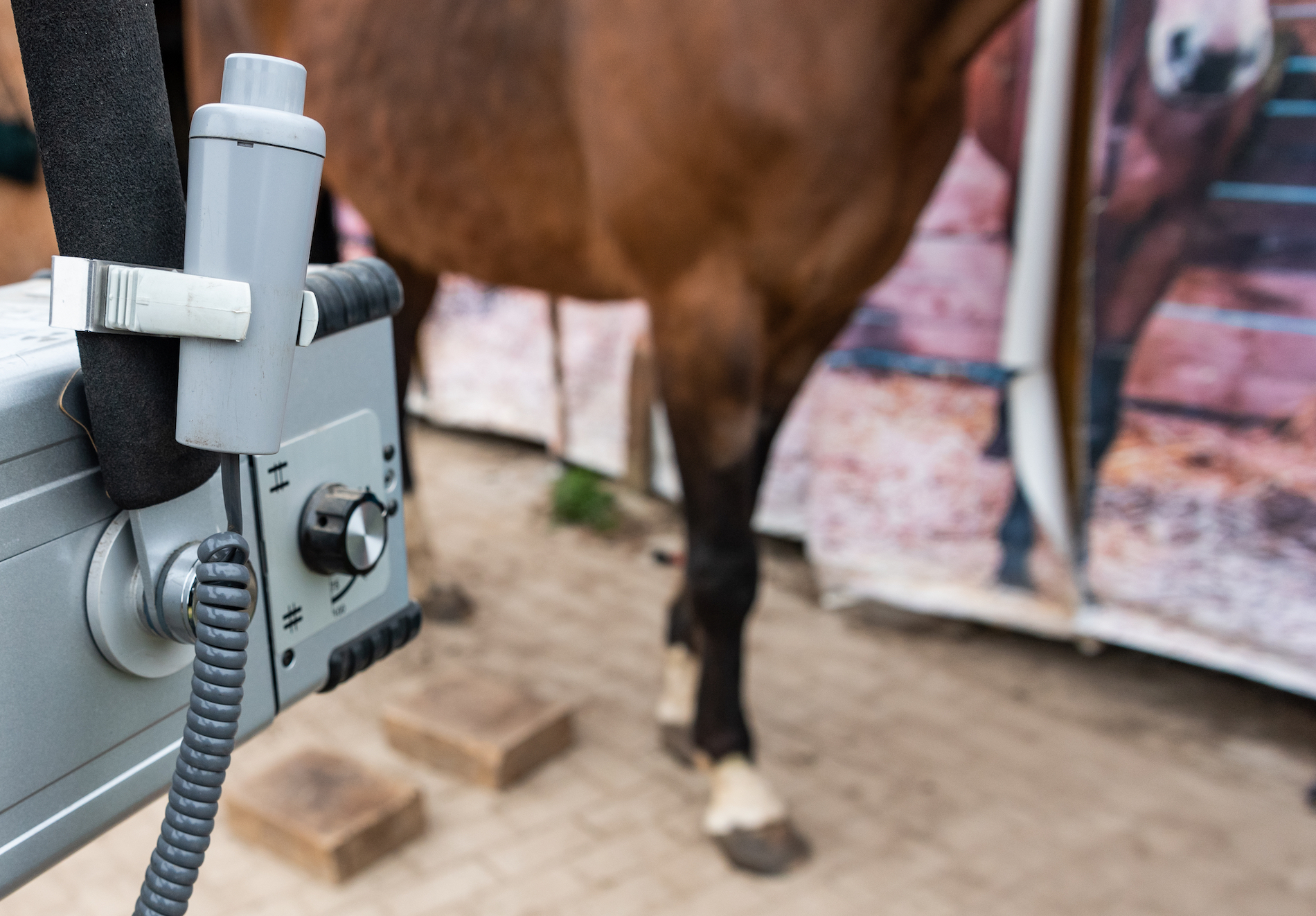 Radiographic x-ray imaging of the equine foot. The radiographic examination of the equine foot provide the veterinarian and farrier with a wealth of information.