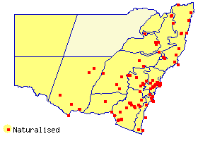 stringhaltmap