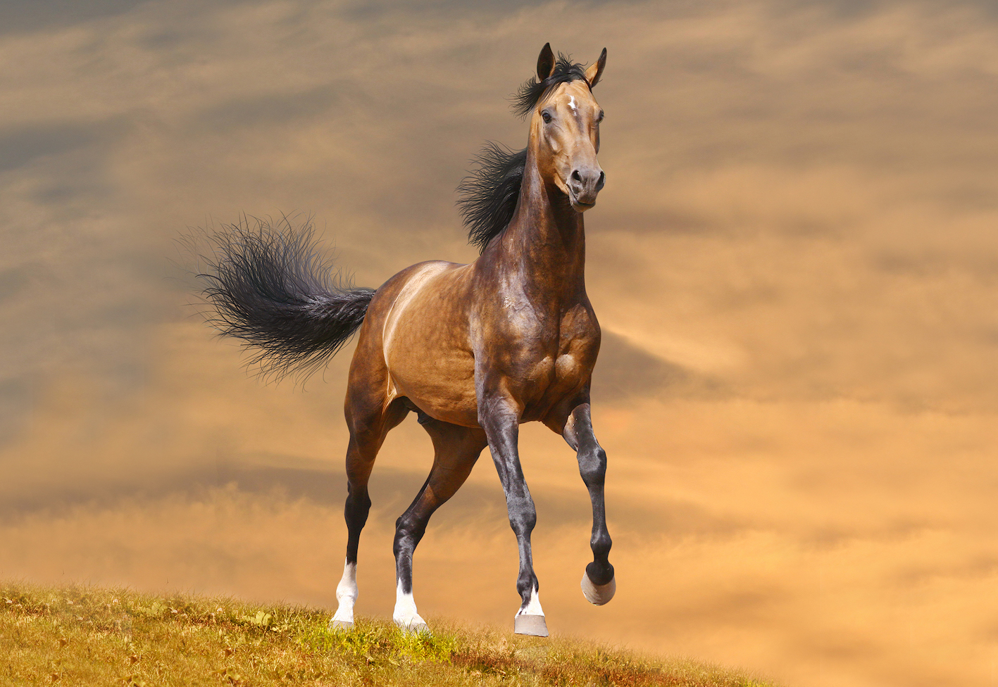 zeolitestockimage crop